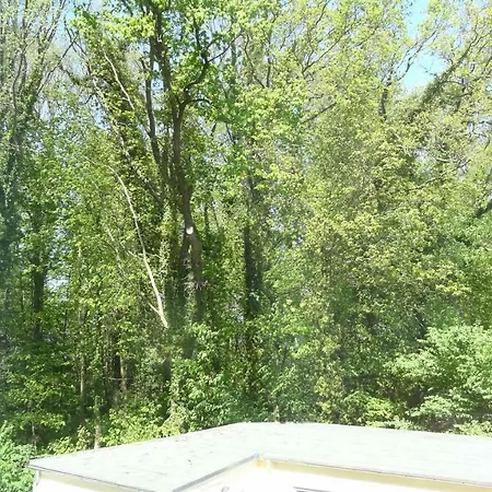 Waldschloss Parow 3*