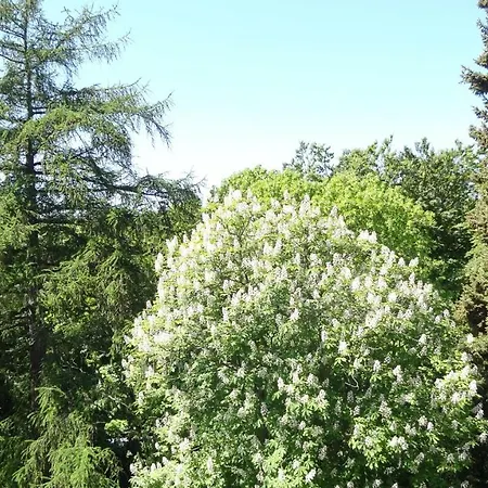 Waldschloss Parow 3* Koserow