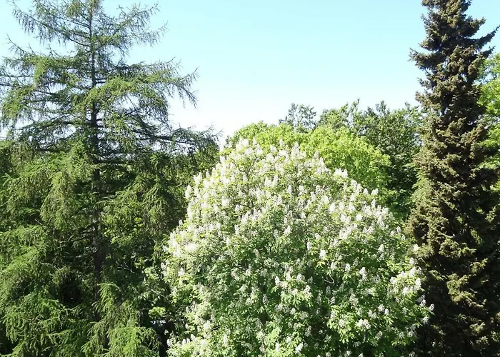 Waldschloss Parow 3* Козеров